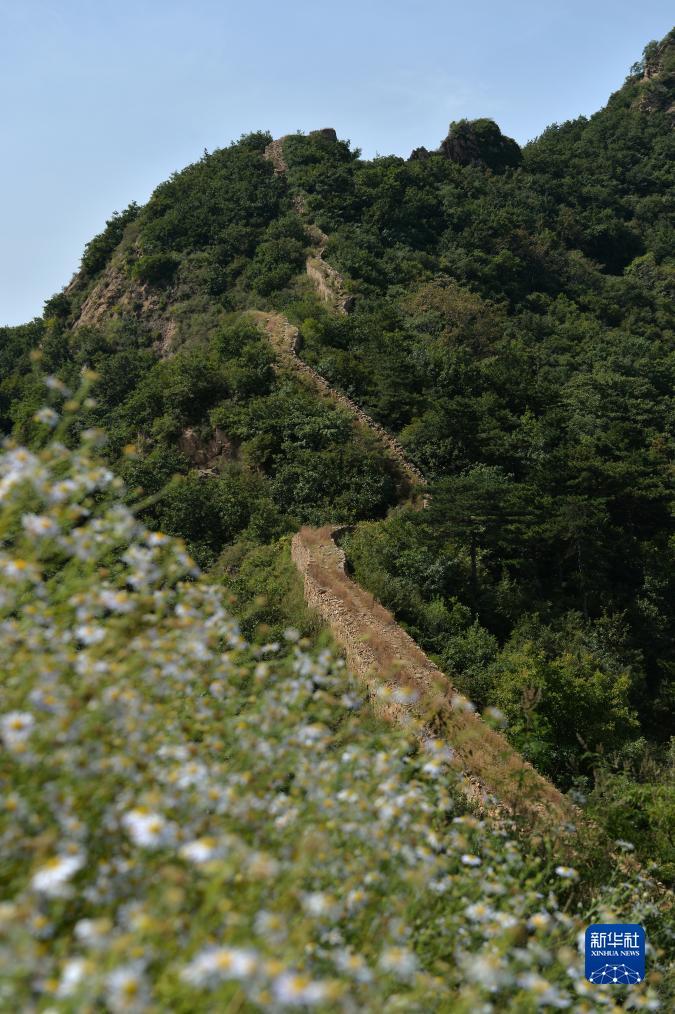 永州同城扯胡子微信同号